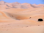 Wüste um Al Ain