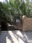 Oase Al Ain