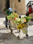 Der Blumenhändler
