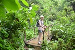 Wanderung im Busch bei Cienfuegos