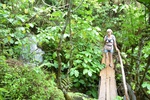 Wandern durch den Busch