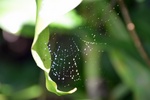 dsc_0998.jpg