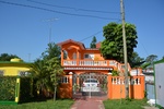 In Viniales