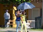 In Viniales