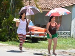 In Viniales