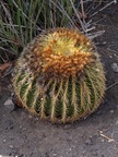 dsc00563.jpg