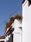 In Agulo