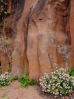 dsc01118.jpg