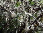 dsc01168.jpg