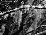 dsc01178.jpg