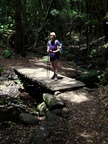 unterwegs im Lorbeerwald