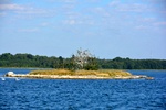 dsc_8812.jpg