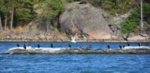 dsc_9370.jpg
