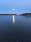 glitzert ganz silbern im Wasser