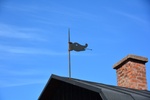 dsc_9072.jpg